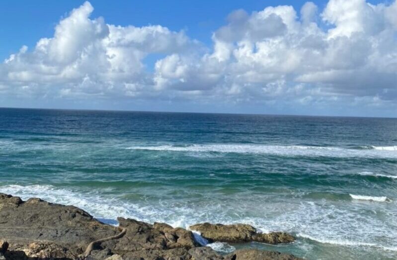 海　