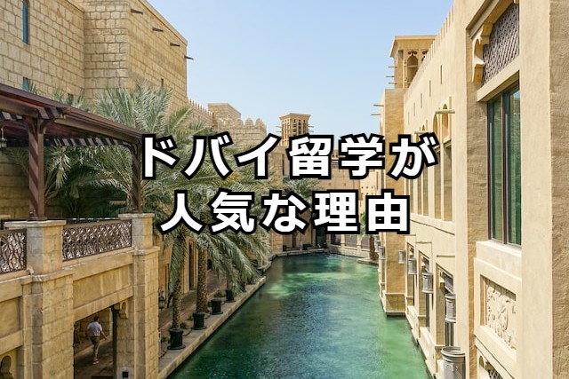 ドバイ留学が人気な理由