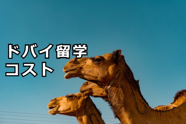 ドバイ留学コスト